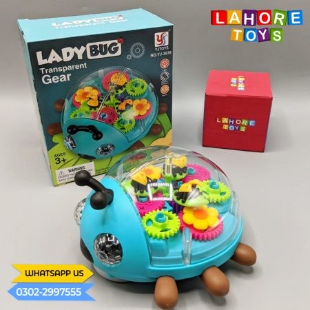 LADYBUG TRANSPARENT GEAR
