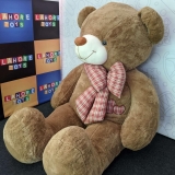 Unveiling the Enchanting World of Teddy Bear