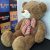 Teddy Bear 5ft