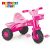 Dolu Pink Unicorn Tricycle